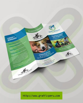 TRIPTCO TAMAÑO A4
