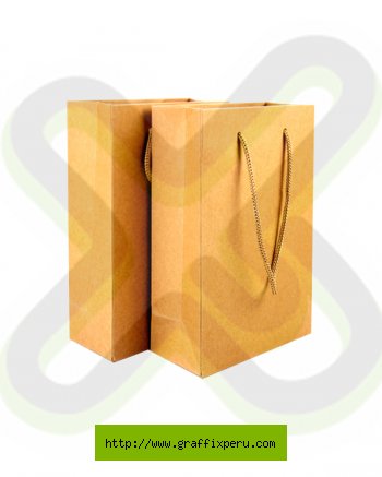 BOLSA ECOLOGICA 23x35x10