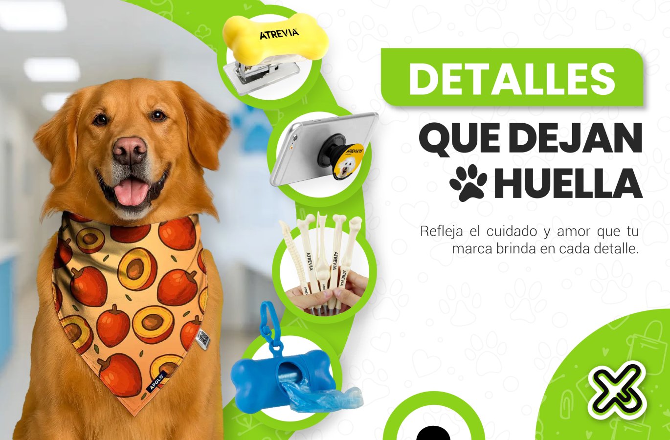 Productos funcionales que fortalecen la identidad en el sector veterinario