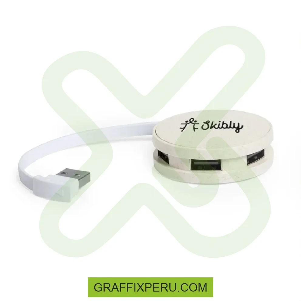 HUB MULTIPUERTO ROMA