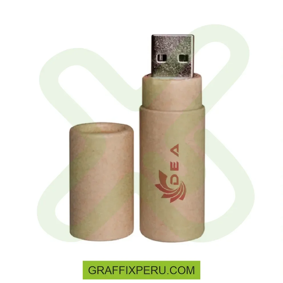 MEMORIA USB ECOLOGICO 4GB - Vista alternativa