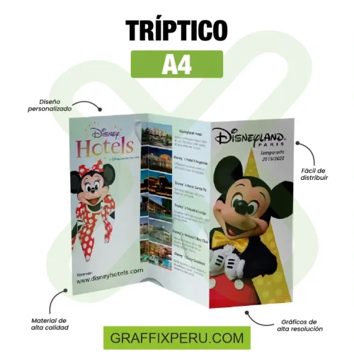 TRIPTICO A4 - Foto 3