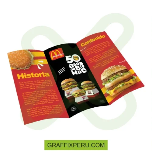 TRIPTICO A4 - Foto 2